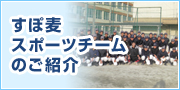 すぽ麦スポーツチームのご紹介