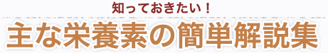 主な栄養素の簡単解説集