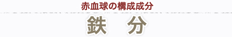 赤血球の構成成分「鉄分」