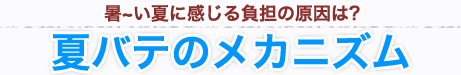 夏バテのメカニズム