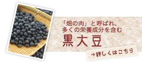 「畑の肉」と呼ばれ、多くの栄養成分を含む黒大豆