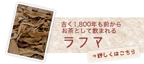 古く1,800年も前からお茶として飲まれるラフマ