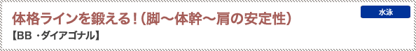 体格ラインを鍛える！（脚～体幹～肩の安定性）【BB ・ダイアゴナル】