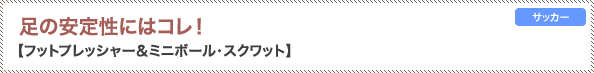 足の安定性にはコレ！フットプレッシャー＆ミニボール・スクワット
