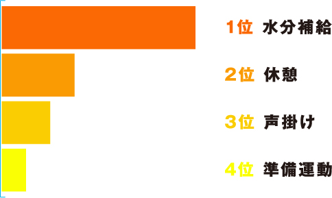 スポーツ応援プログラム