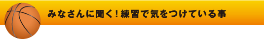 スポーツ応援プログラム