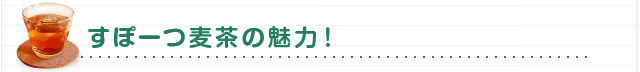 すぽーつ麦茶の魅力