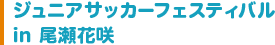 ジュニアサッカーフェスティバルin尾瀬花咲